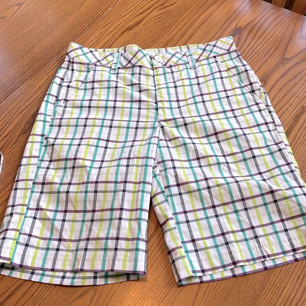 Mens Shorts Multi Colored Sz 30 IZOD